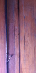 IMG_20250129_113933.jpg