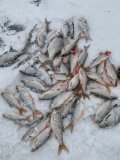 IMG-20250123-WA0014.jpg