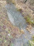 IMG_20250129_155002.jpg