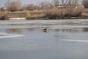 IMG_3312 — копия.JPG