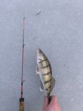 IMG_20250131_135358.jpg