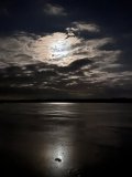 IMG_9407.jpeg