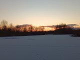 IMG_20250204_171113.jpg