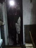 IMG_20250204_191335.jpg