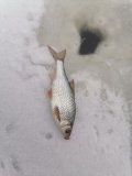 IMG_20250205_111759.jpg