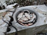 IMG-20250205-WA0031.jpg