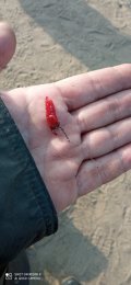 IMG_20250207_120456.jpg