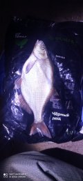 IMG_20250207_065551.jpg