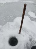 IMG_20250208_141452.jpg