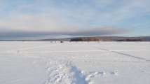 20250208_162942.jpg