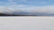 20250208_163016.jpg