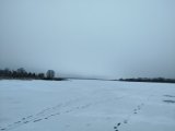 IMG_20250209_120839.jpg