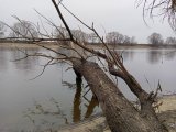 IMG20250210142313.jpg