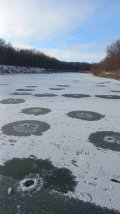 20250211_141018.jpg