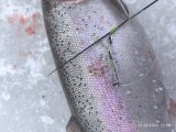 f7d85045-677d-4e26-aac1-e411d54e72cd.jpeg