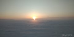 IMG_20250213_172900_1.jpg