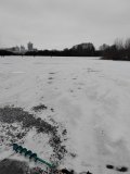 IMG_20250213_100528.jpg