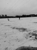 IMG_20250213_100535.jpg