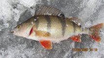 IMG_3504.JPG