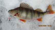 IMG_3508.JPG