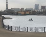 IMG_2842.jpeg