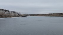 PXL_20250213_120446095.jpg
