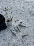 IMG_8220.jpeg