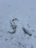 IMG_8204.jpeg