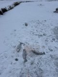 IMG_8202.jpeg