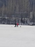 IMG_20250215_112431.jpg