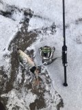 IMG_5851.jpeg
