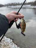 IMG_6827.jpeg
