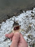 IMG_6831.jpeg
