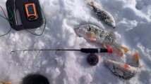 IMG_20250217_000349.jpg