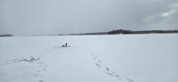 20250216_120238.jpg