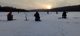 IMG_20250216_082118.jpg