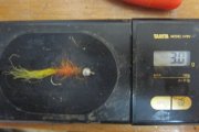 IMG_5287.JPG