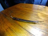 IMG_20250219_153041_651.jpg