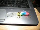 DSCN9663.JPG