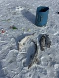 IMG_8275.jpeg