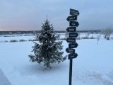 Изображение хрюхрюp 2025-02-20 в 07.58.05_dfecdd02.jpg
