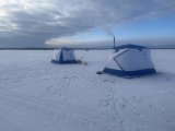 IMG_7849.jpeg