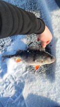 IMG_20250219_110636.jpg