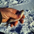 IMG_20250220_220458_018_2.jpg