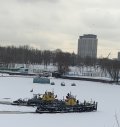 IMG_2867.jpeg