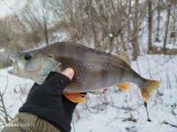 IMG_20250221_104142.jpg