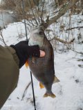 IMG_20250221_104128.jpg