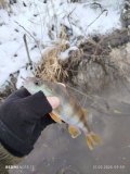 IMG_20250221_095958.jpg