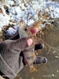 IMG_20250221_141834.jpg
