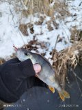 IMG_20250221_174604.jpg